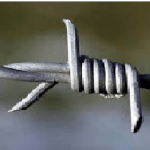 Barbed wire